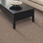 Mohawk Carpet Elegant Influence I