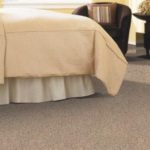 Mohawk Carpet Modern Ease