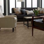 SHAW CARPET YOUR WORLD SOUTHERN ANDES