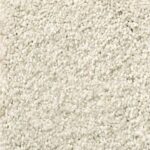 Shaw Carpet Anso Colorwall Champagne Toast 153T