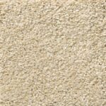 Shaw Carpet Anso Colorwall Sun Kissed 110S