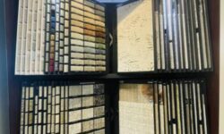 Anderson Tuftex Carpet Color Wall