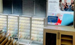 Shaw Floors Carpet Color Wall 2026